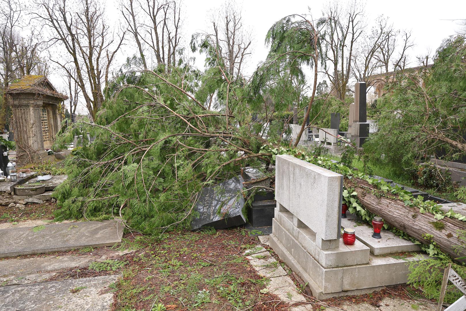Na Mirogoju su i dalje vidljive posljedice snažnog nevremena – brojni nadgrobni spomenici su oštećeni, a pojedine aleje i dijelovi groblja zatrpani su srušenim stablima i granjem