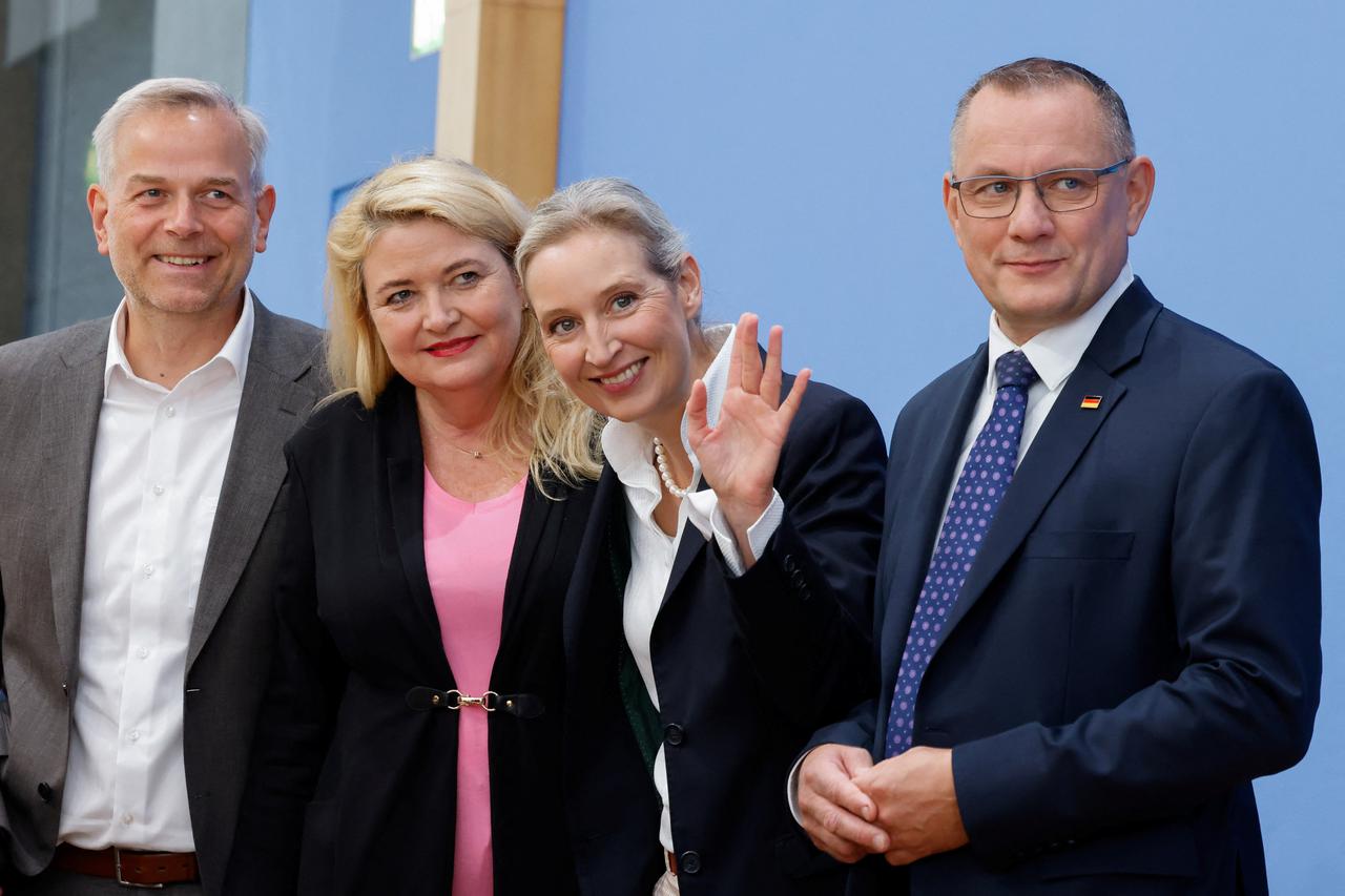 AfD u Njemačkoj
