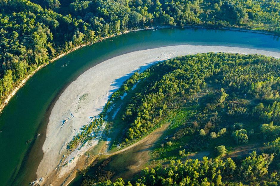 Svjetski dan šuma