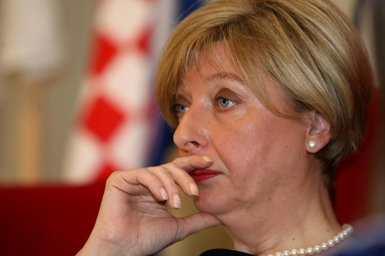 07.02.2013., Osijek - U Velikoj vijecnici Skupstine Osjecko-baranjske zupanije predstavljena knjiga 