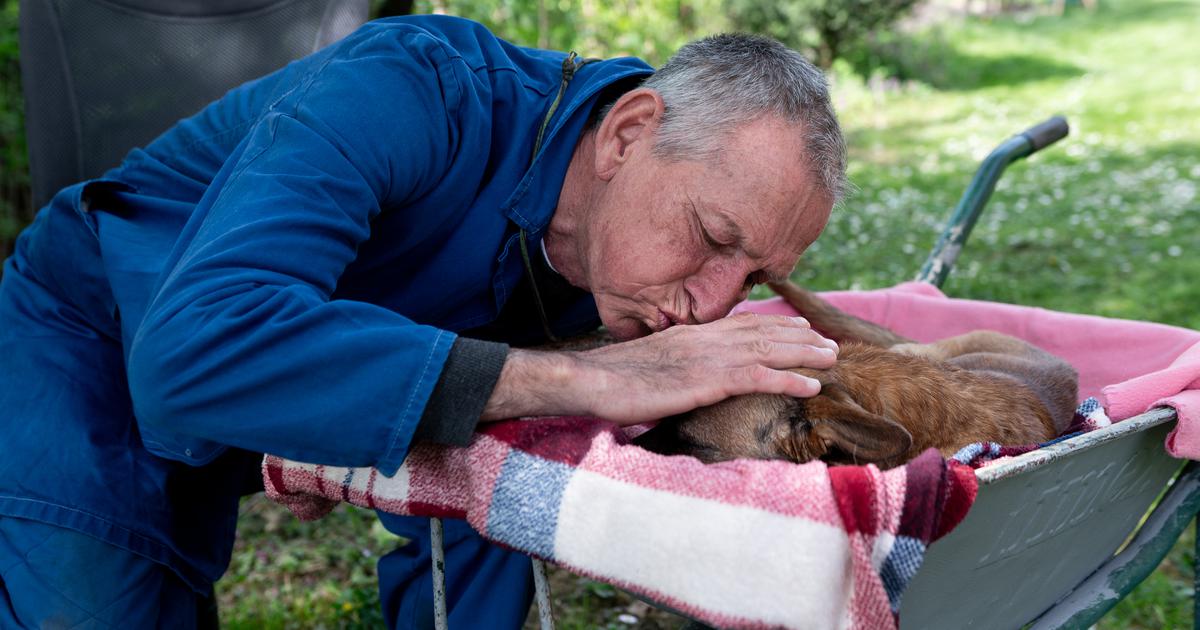 Ivica (74) i Bobi (15) ganuli su cijelu Hrvatsku, provjerili smo kako su sada: 'Borimo se do kraja'