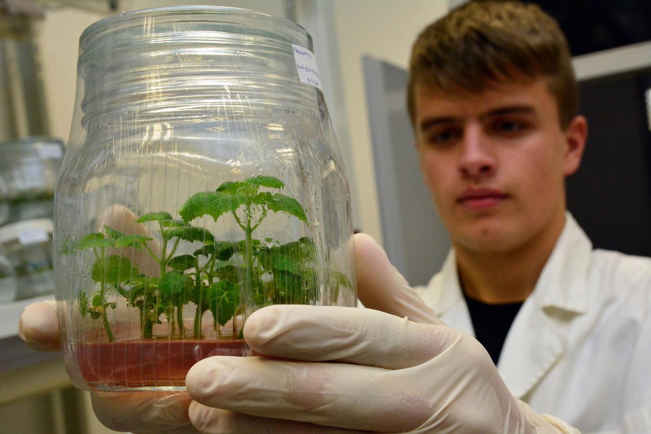 Srednja škola Matije Antuna Reljkovića