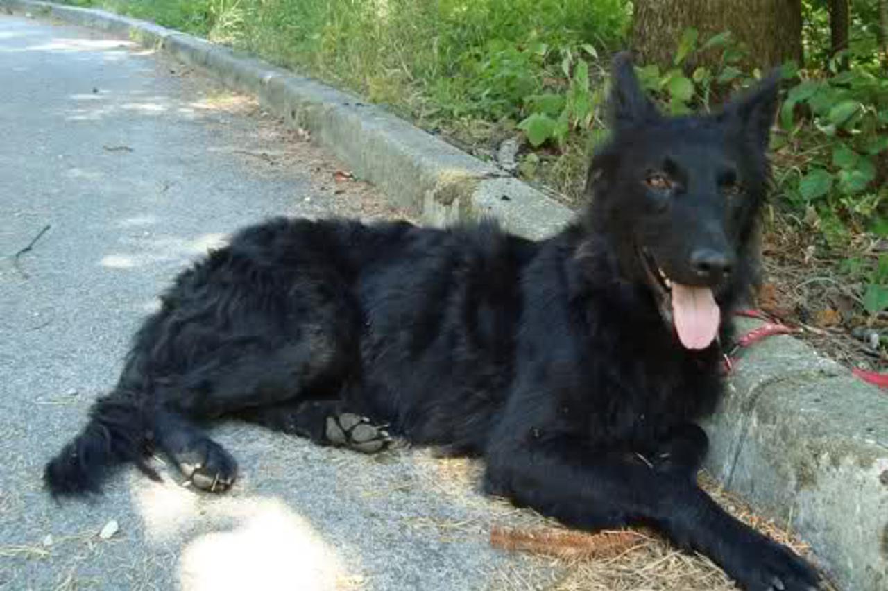 Nora, Lara, Oscar, Lič (1)