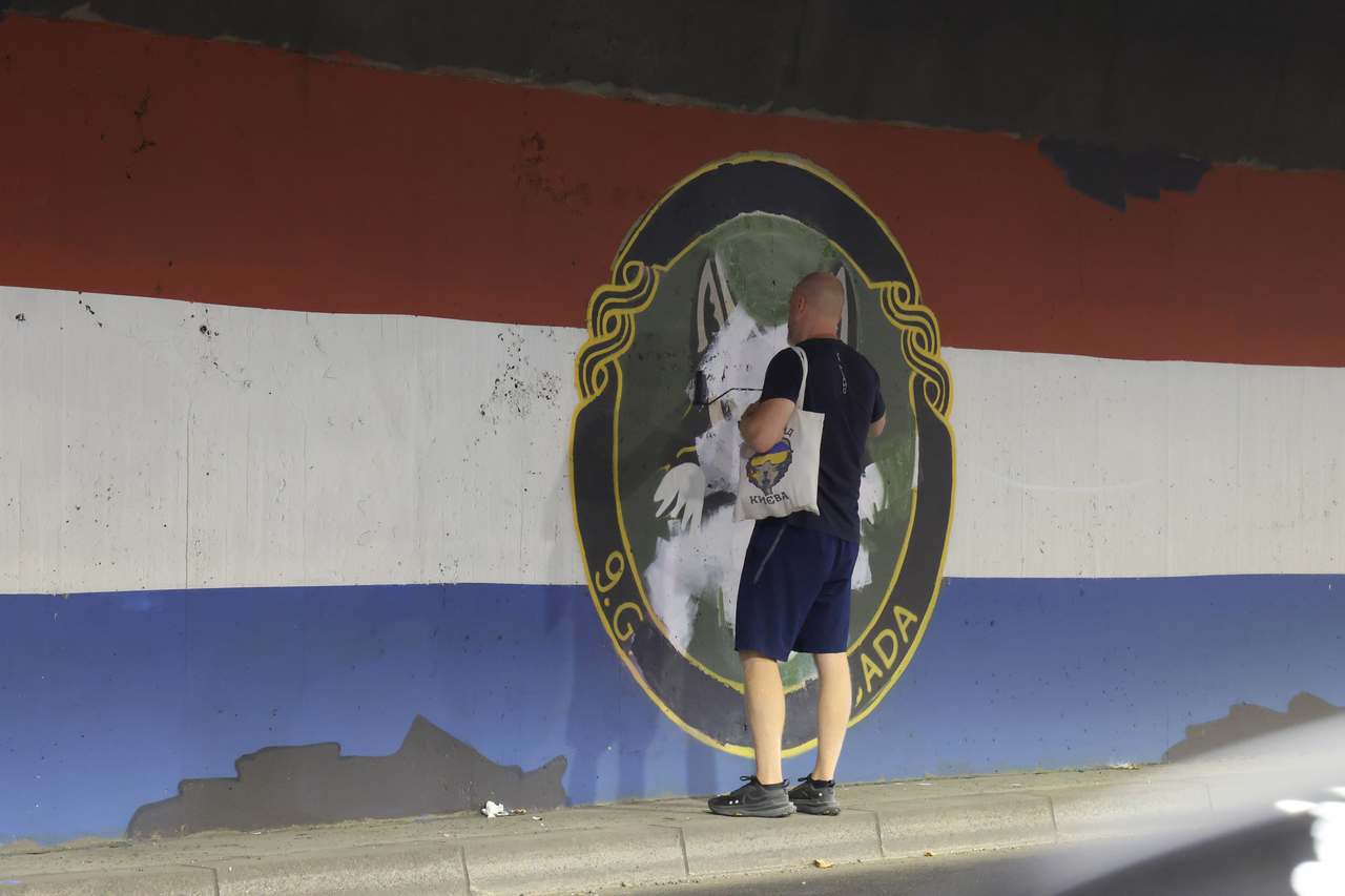 Zagreb: Počela sanacija pošaranih murala