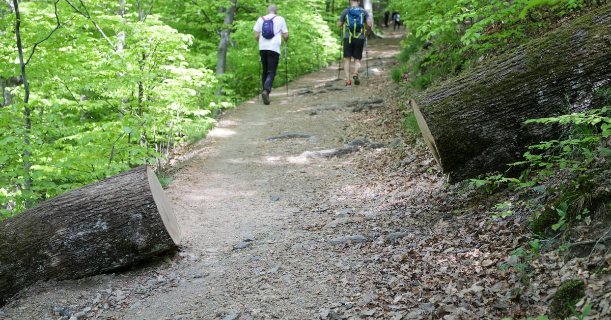 'Za neprepoznati je': Prizor s popularne staze na Medvednici razočarao brojne planinare