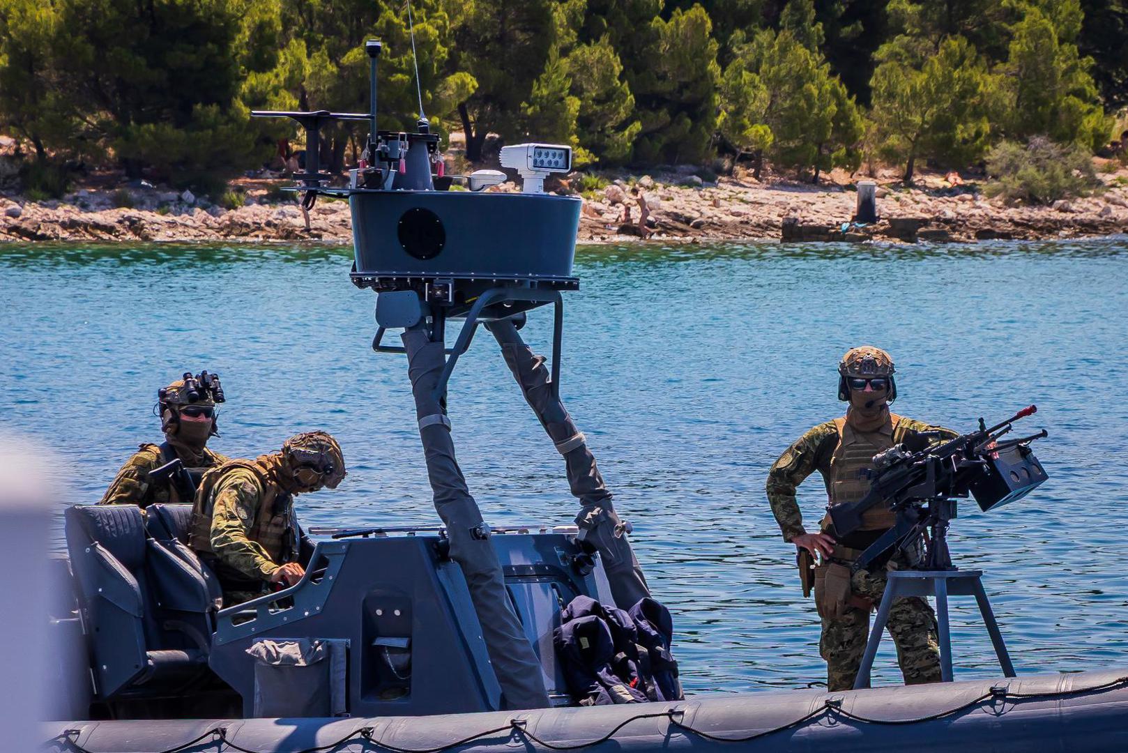 Vježbu provode, kako je istaklo Ministarstvo obrane (MORH), pripadnici Hrvatske vojske u suradnji s oružanim snagama sedam savezničkih i dviju partnerskih zemalja te sastavnicama sustava domovinske sigurnosti Republike Hrvatske.