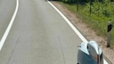 FOTO Hrvate zbunilo čudno vozilo na Krku, odmah su mu dali n
