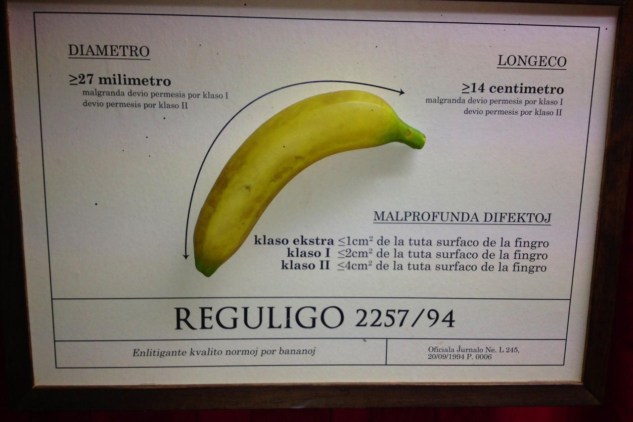 zakrivljenost banane