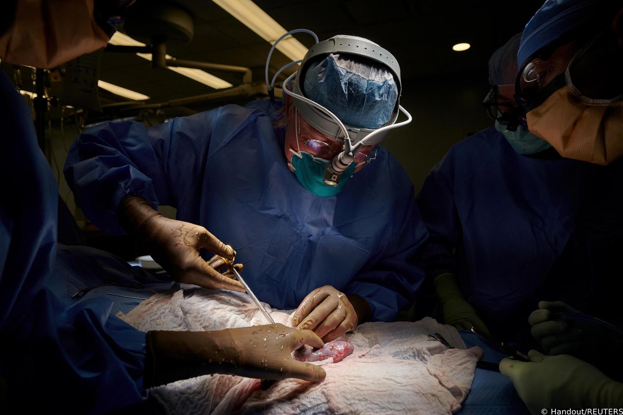 New advance in kidney transplants