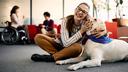More Than Pets: These 6 Dog Breeds Will Help You Heal From Stress and Loneliness