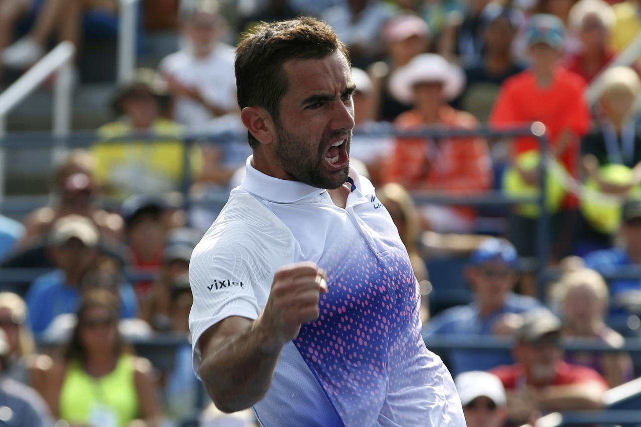 Marin Čilić