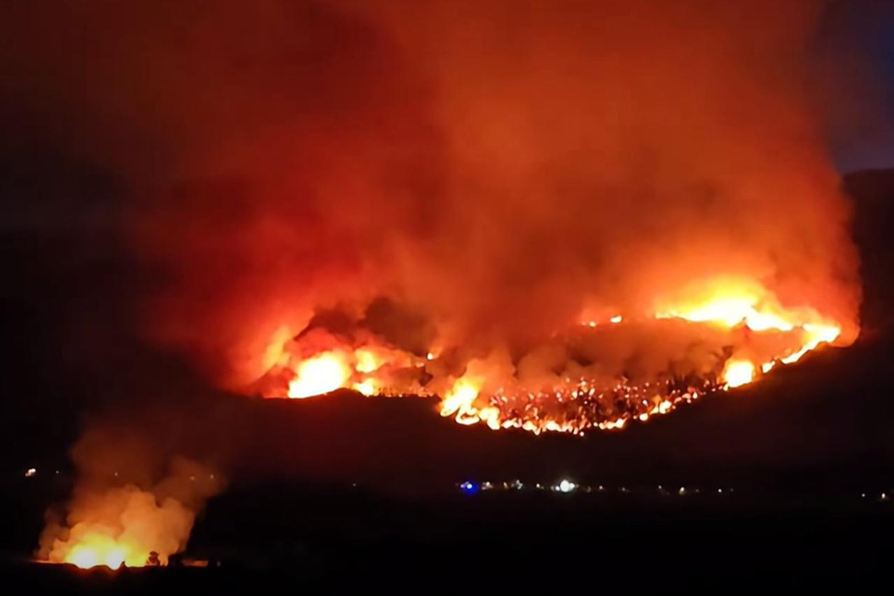 Rujnica