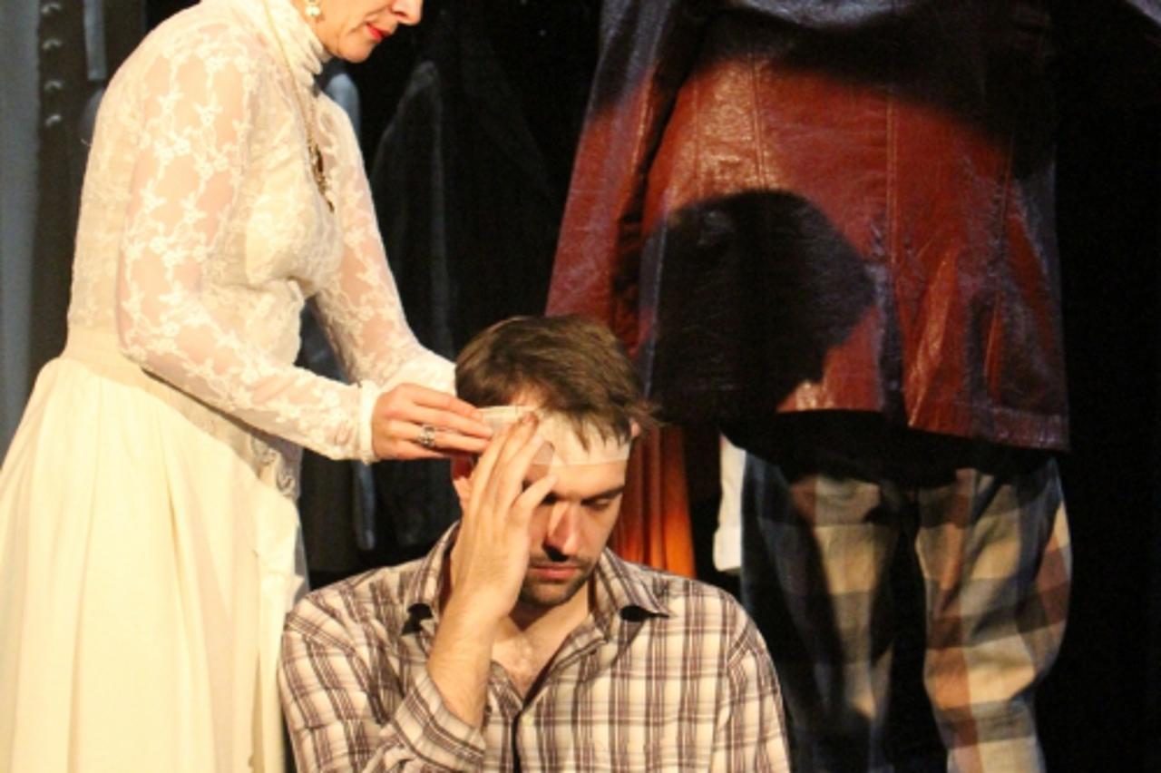 Galeb, Srpsko narodno pozorište Novi Sad, Zagreb