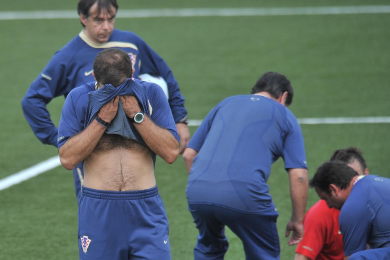 Reprezentacija, Ivica Olić
