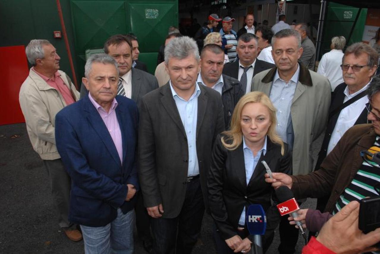 marijana petir, gudovac