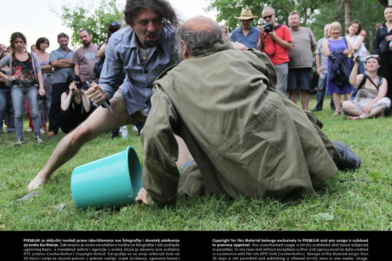 '18.06.2011., Koprivnica - Okupljanje umjetnika iz cijelog svijeta u koprivnickom prigradskom naselju Staglinec. Okupila ih je na imanju umjetnice Vlaste Delimar udruga Moja zemlja Staglinec. Photo: M