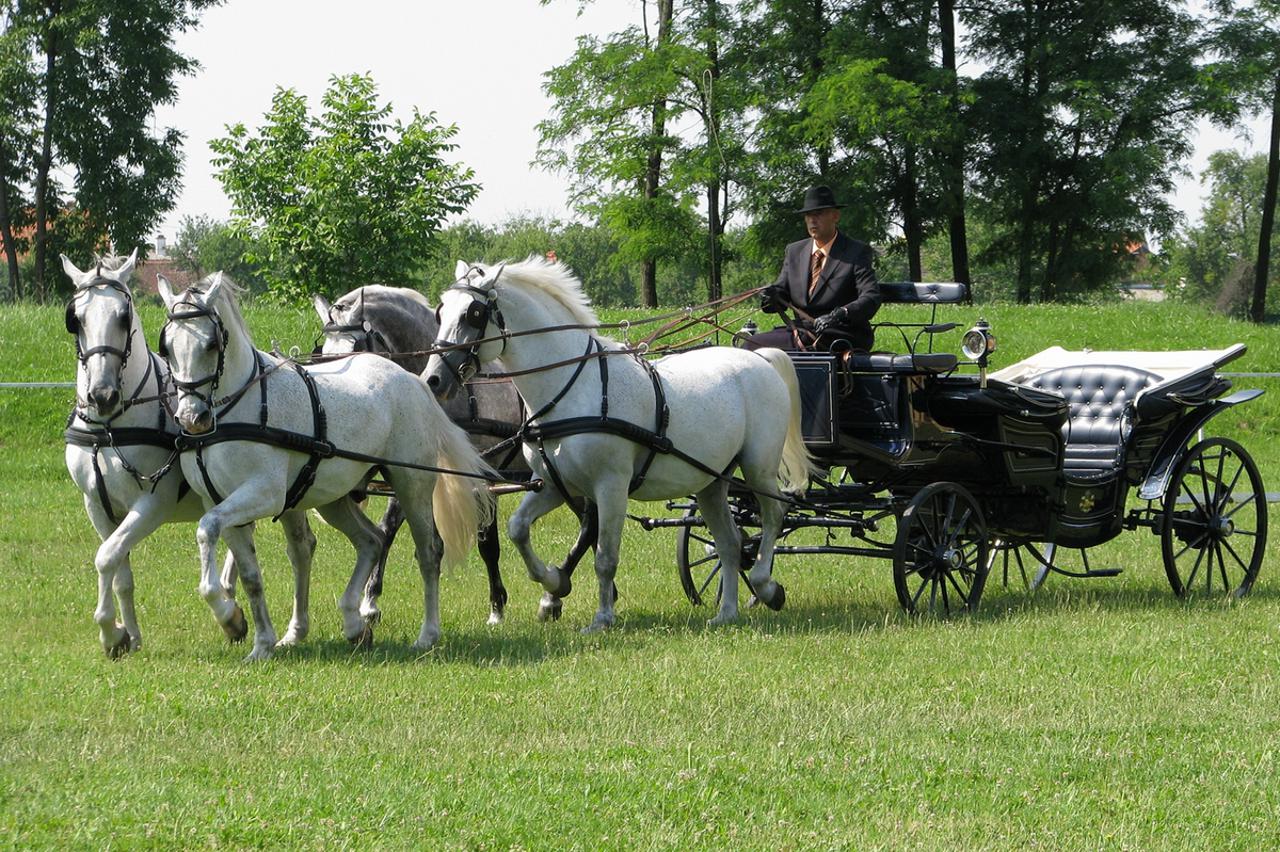 Državna ergela Đakovo i Lipik