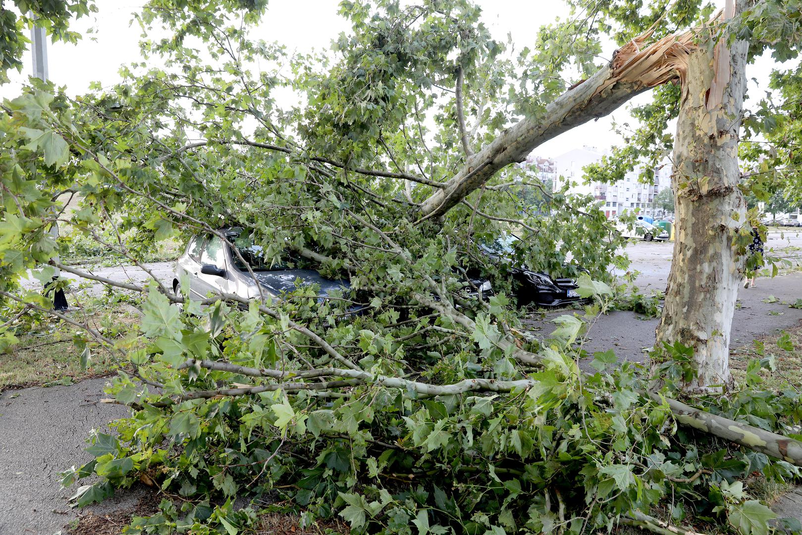 20.07.2023., Zagreb - Posljedice oluje koja je jucer poharala Zagreb i veliki dio Hrvatske i danas se vide na ulicam grada. Sve sluzbe nastavljaju raditi na rasciscavanju. Photo: Patrik Macek/PIXSELL