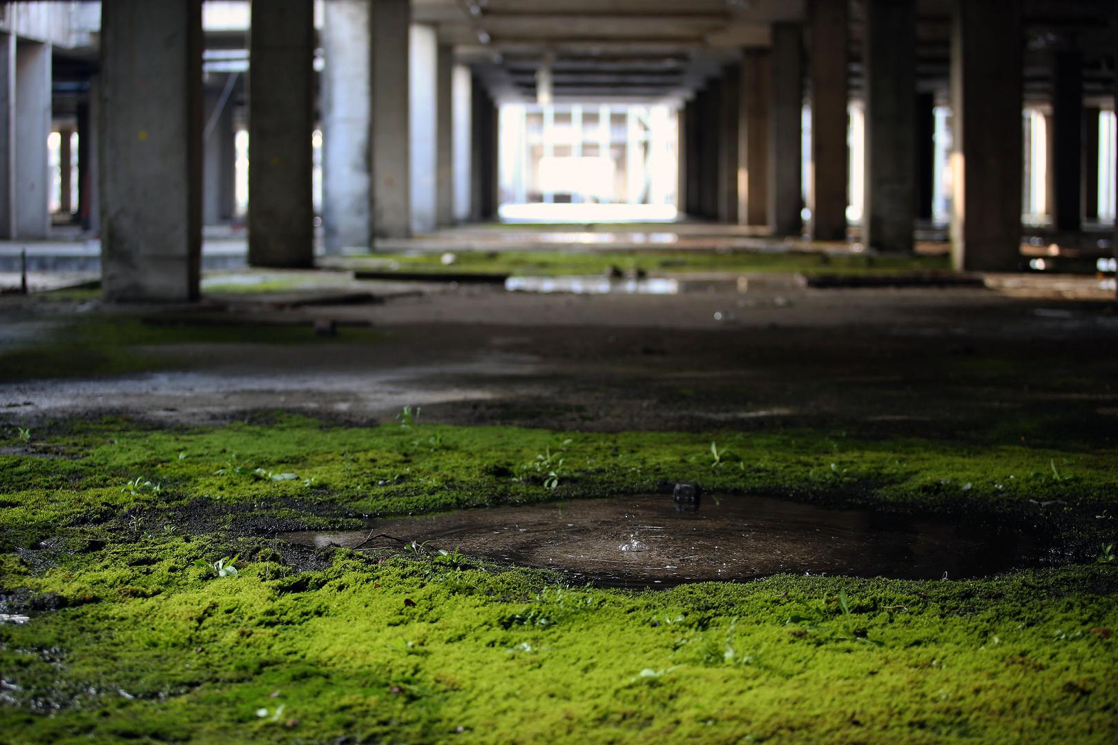 11.02.2018., Zagreb - Zapusteni prostor nikad dovrsene Sveucilisne bolnice u naselju Blato. Photo: Jurica Galoic/PIXSELL