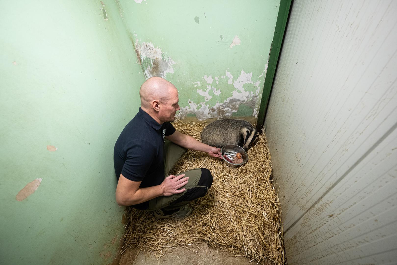 Životinja je očito pokušala proći kroz uski otvor, no ubrzo je ostala zarobljena.