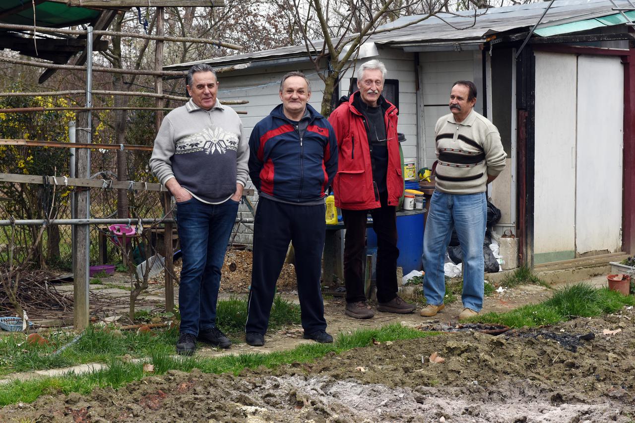 15.03.2016., Zagreb - Gradski vrtovi u naselju Borongaj - Slavko, Luka, Ivan i Veljko korisnici vrtova.  DKS_56134125 Photo: Davor Visnjic/PIXSELL