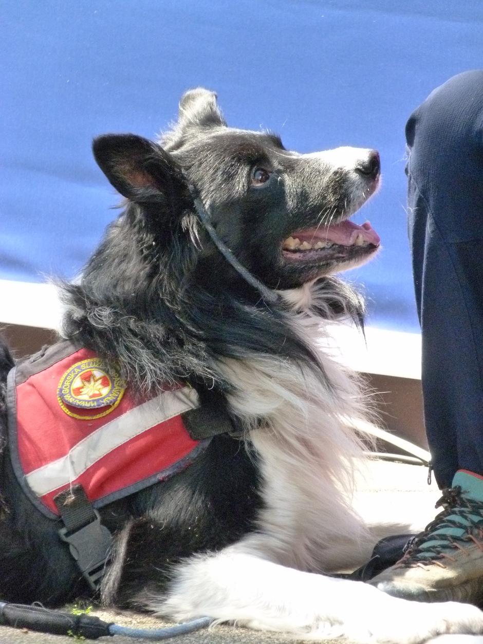 Festival znanosti u Velikoj Gorici