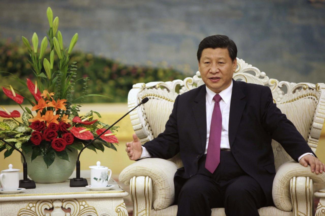 'China\'s Vice President Xi Jinping speaks with Egypt\'s President Mohamed Mursi during a meeting at the Great Hall of the People in Beijing in this August 29, 2012 file photo. China\'s top leader-in-