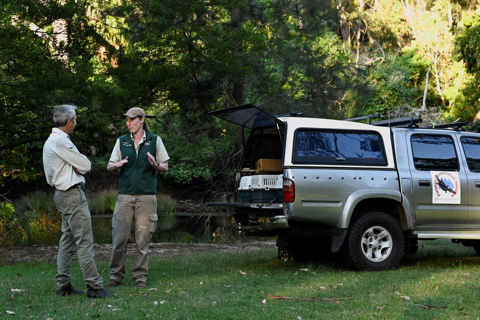 Taronga Zoo CEO Cameron Kerr talks with a Scientist beside a vehicle containing platypus in animal carriers before platypus were released back into Sydney’s Royal National Park for the first time in over fifty years, in Sydney, Australia, May 12, 2023.  REUTERS/Jaimi Joy Photo: JAIMI JOY/REUTERS