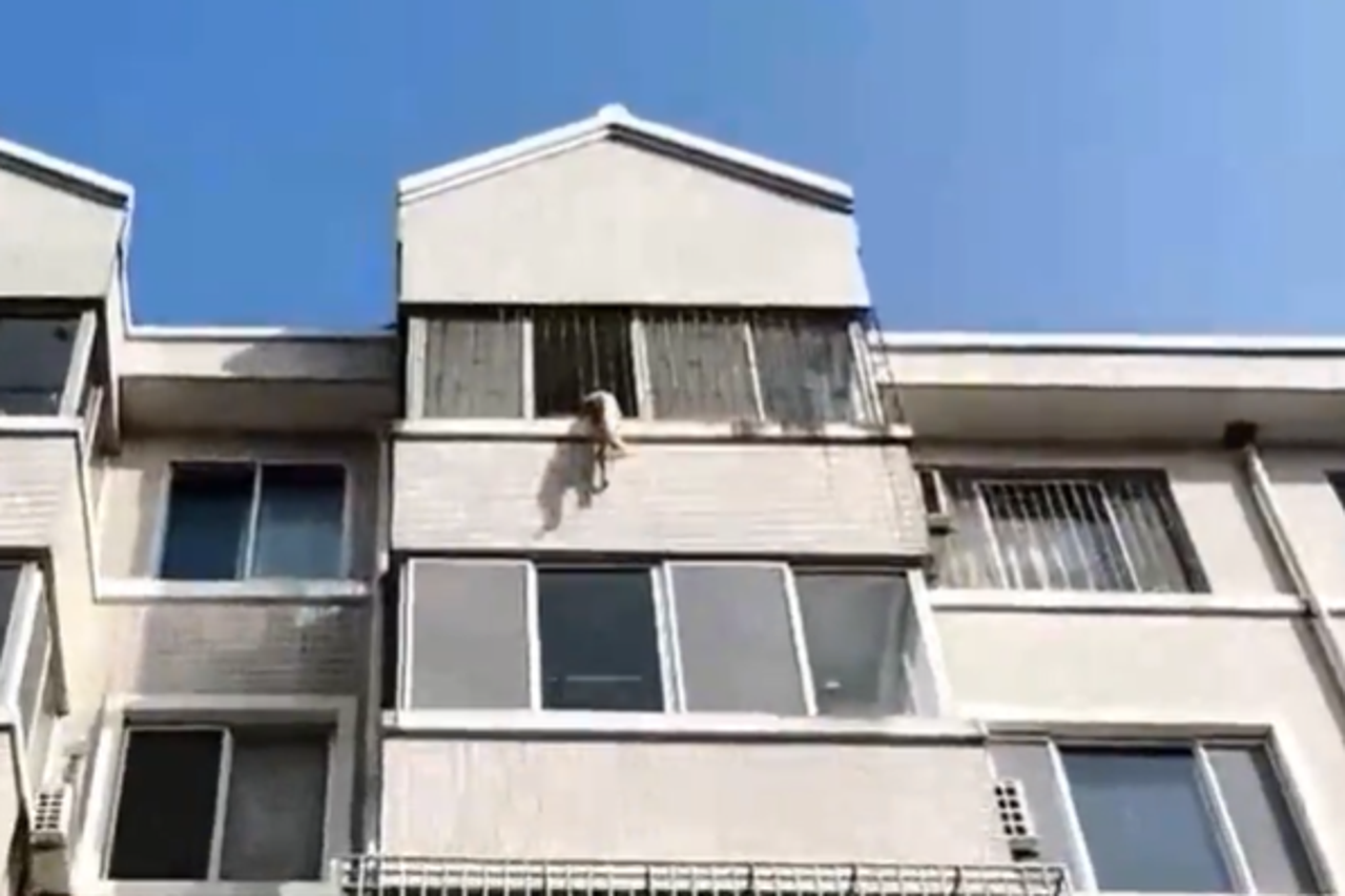 Dječak u Kini
