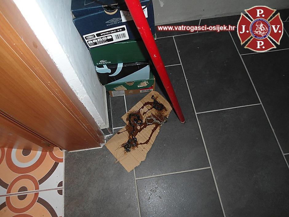 U Dalju iz WC školjke izlazile bjelouške