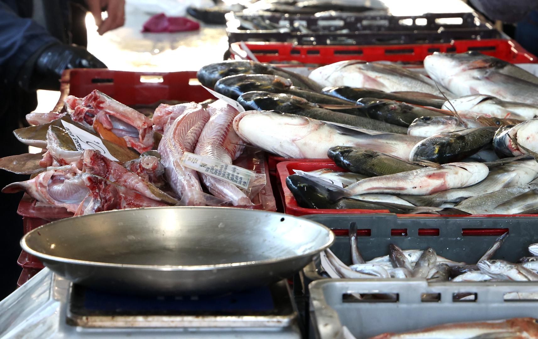 Pixsellov fotoreporter obišao je štandove i donio pravi uvid u bogatstvo morskih delicija koje možete pronaći. 