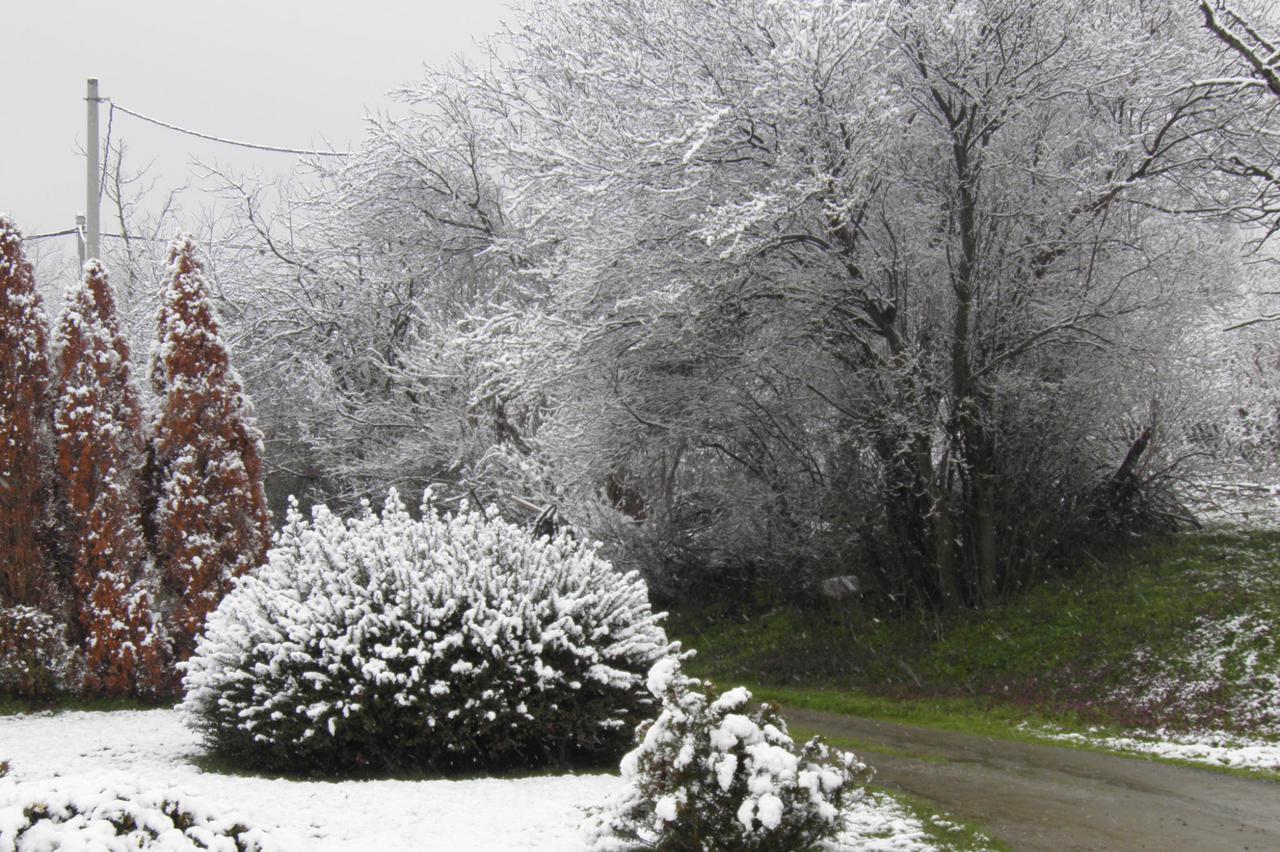 Snijeg u Požeštini, portal