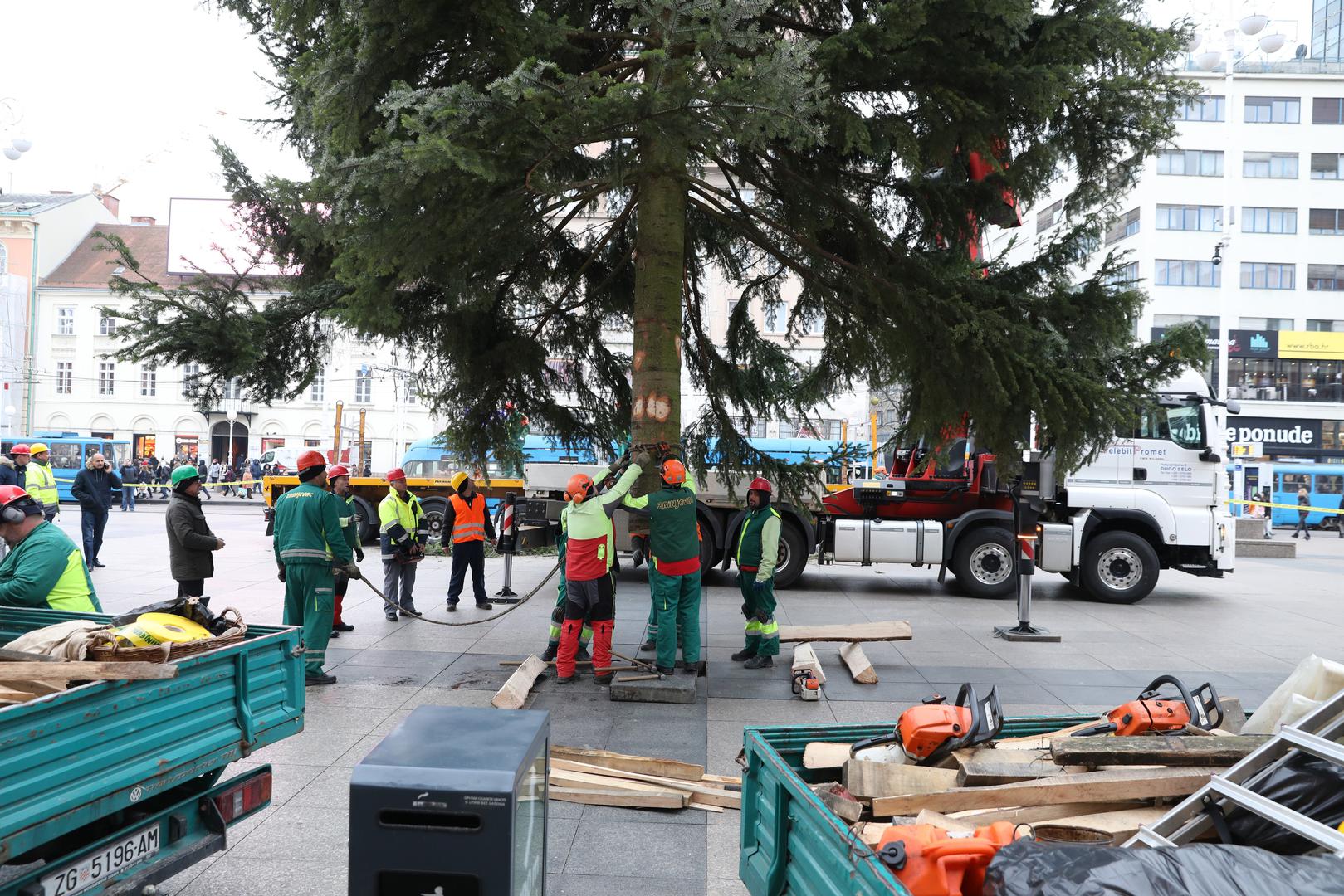 Radnici Zrinjevca na Trgu bana Josipa Jelačića postavili su donirani bor koji će ukrašavati središnji trg za vrijeme božićnih i novogodišnjih blagdana.