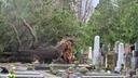 Zagreb Mayor Defends 3,000 Euro Aid for Mirogoj Cemetery Damage