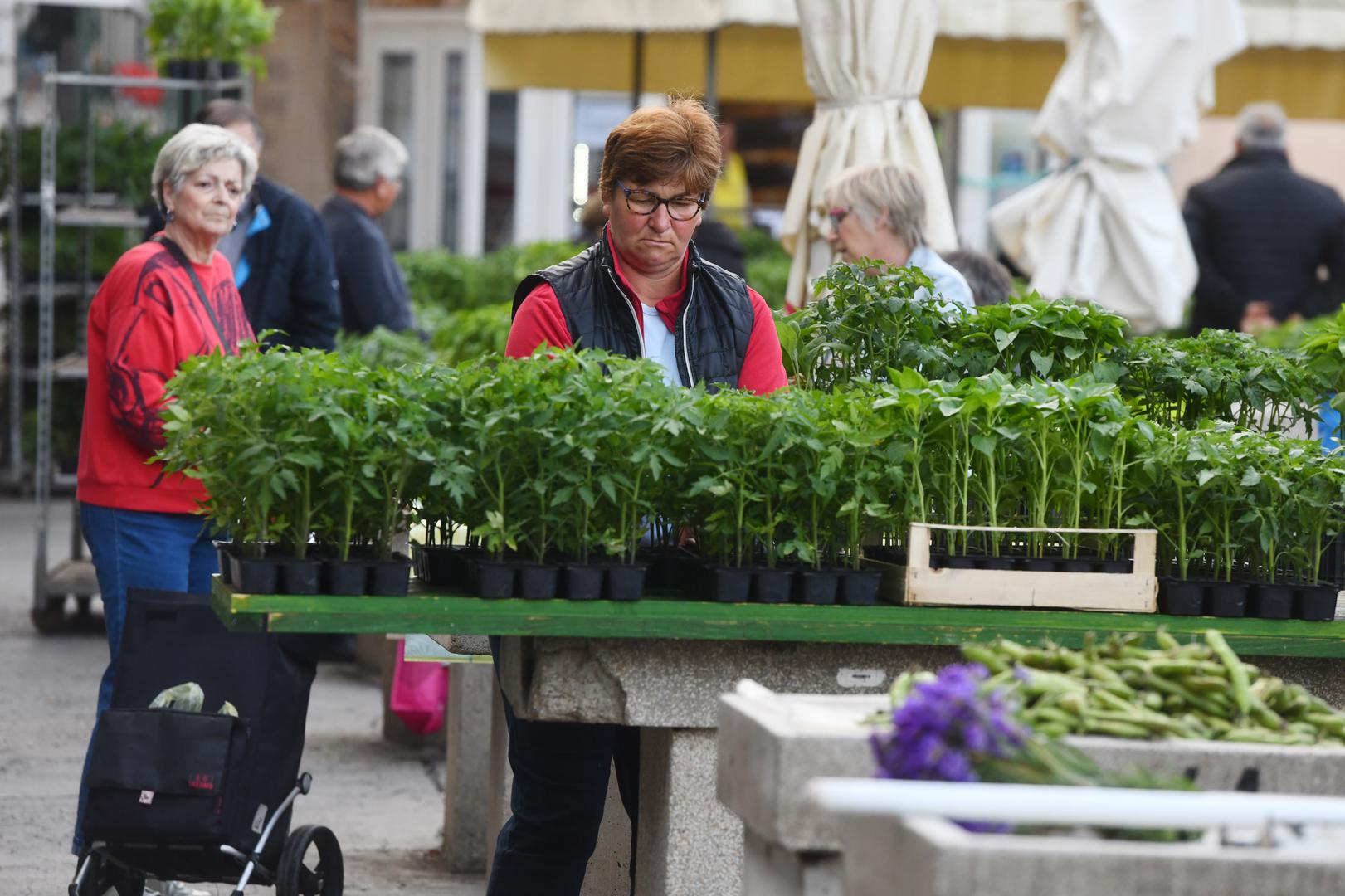 Među ostalim, može se vidjeti da su kupci u ponudi imali i slasne vrgoračke jagode.