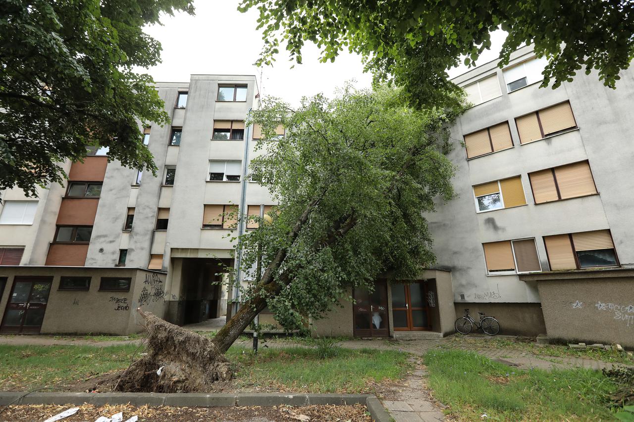 Zagreb: Stablo iščupano tijekom nevremena stoji naslonjeno na stambenu zgradu