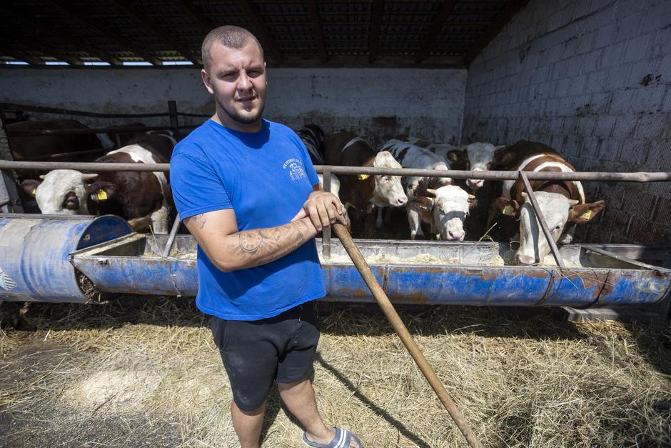 Bobota: OPG Petrovic Obrad, govedarstvo