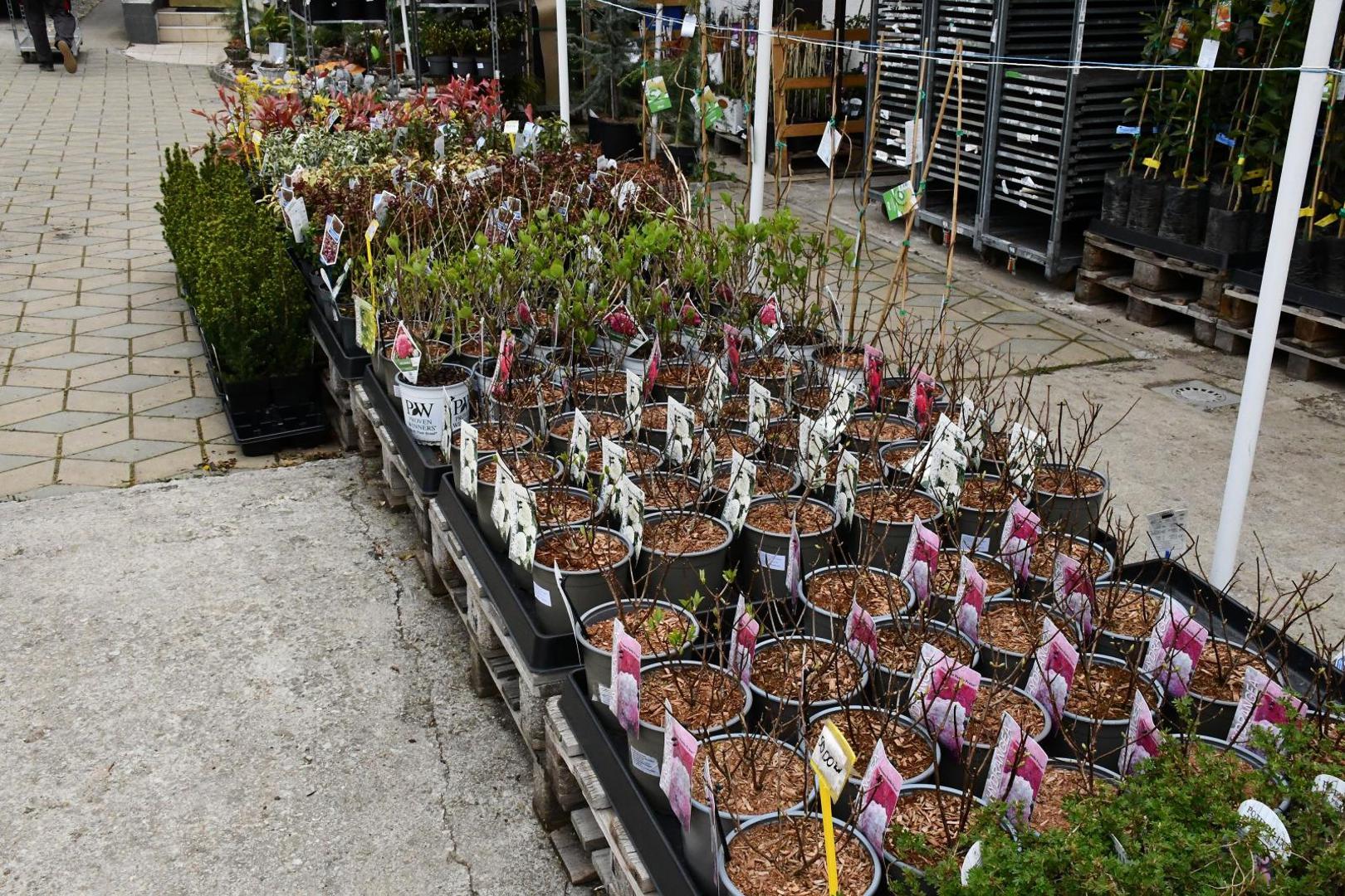 17.04.2021.,Pozega -  Martina Vukoja iz OPG Vukoja, bivsa je vojnikinja koja je vojnicke cizme i pusku zamijenila gumenim cizmama i stihacom i sada se bavi uzgojem sadnica, cvijeca i ukrasnog bilja.
Photo: Ivica Galovic/PIXSELL