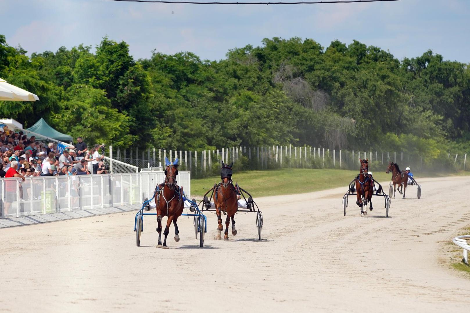 Premda je poznat kao ljubitelj konja i posjeduje ih nekoliko, Jokiću ne nedostaje niti automobila. Ovo su neki od njih.