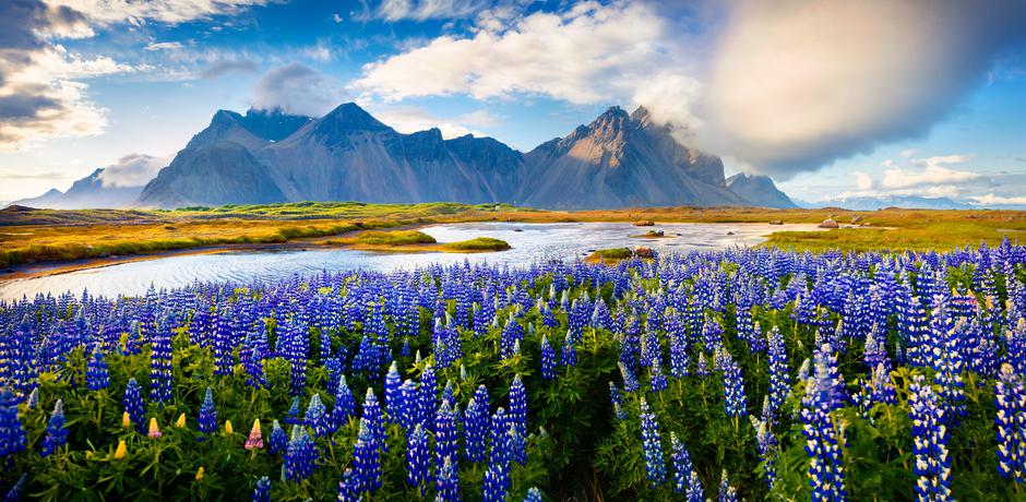 Island treba vidjeti, doživjeti, osjetiti