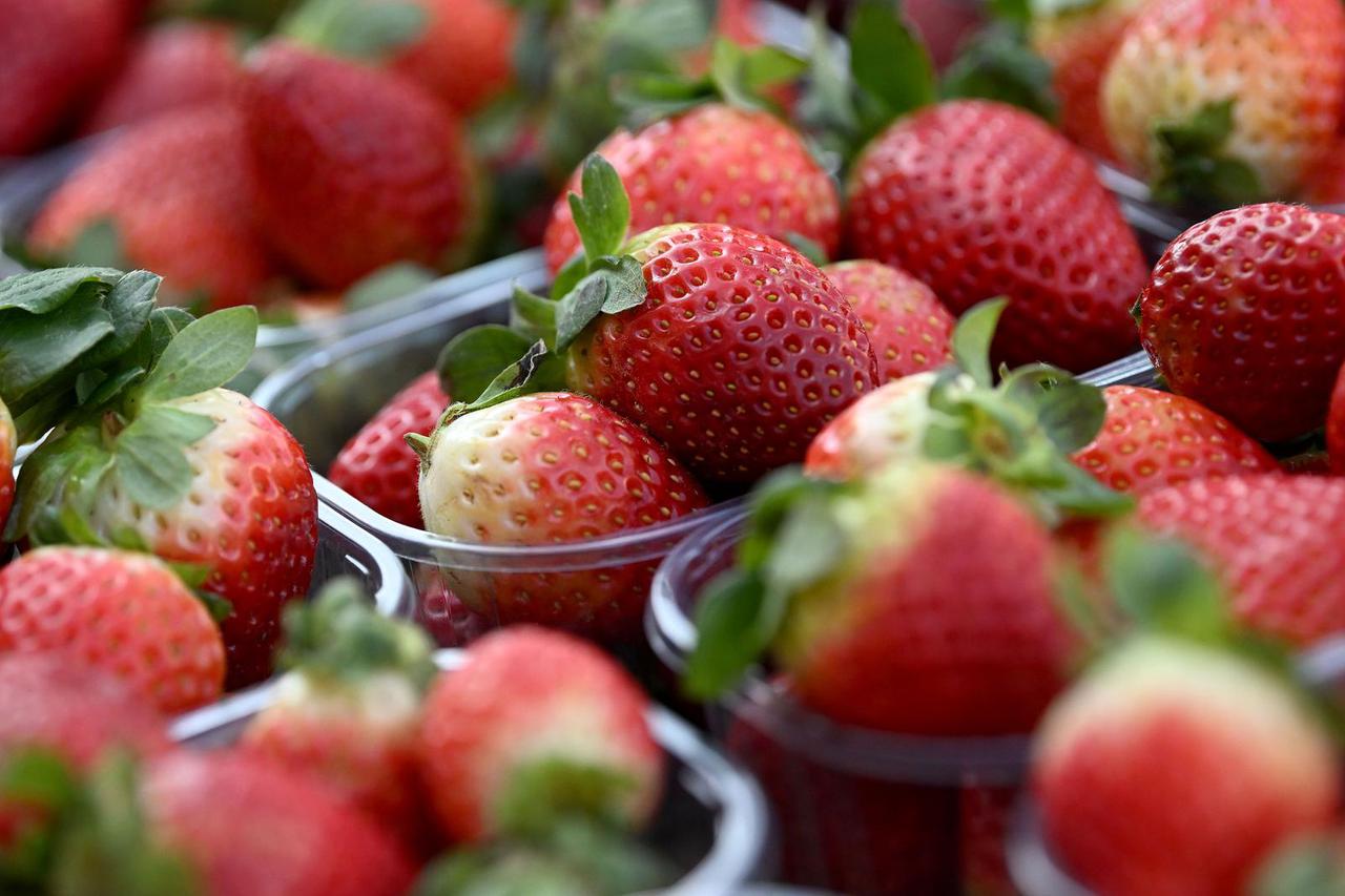 Šibenik: Stigle prve ovogodišnje trešnje na tržnicu