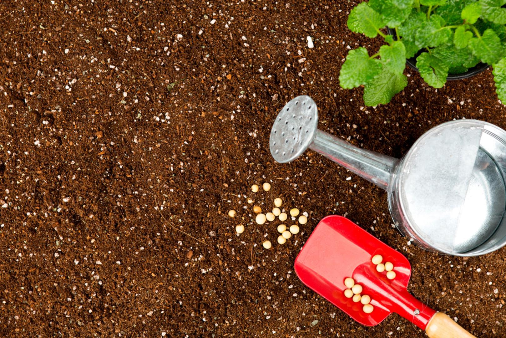 Dobro je prekopati tlo čim nije previše mokro, poravnati površinu i pripremiti redove za sjetvu. U ožujku se može obaviti i prva prihrana trajnica te rezidba grmova koji to podnose, kao i postavljanje potpora i mreža prije nego biljke krenu 'u vis'. 