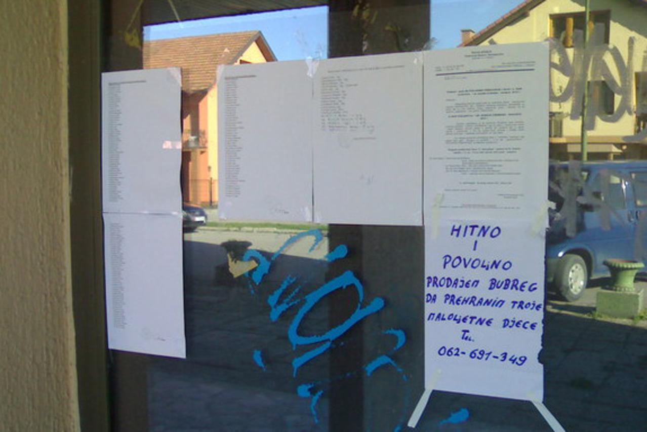 bubreg BiH 