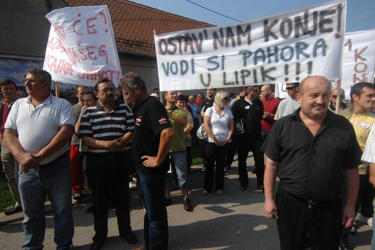 ergela, đakovo, lipik, prosvjed (1)