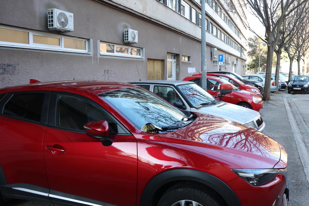 Šibenik: Galebovi sa grana izmetom uništavaju boju na automobilima