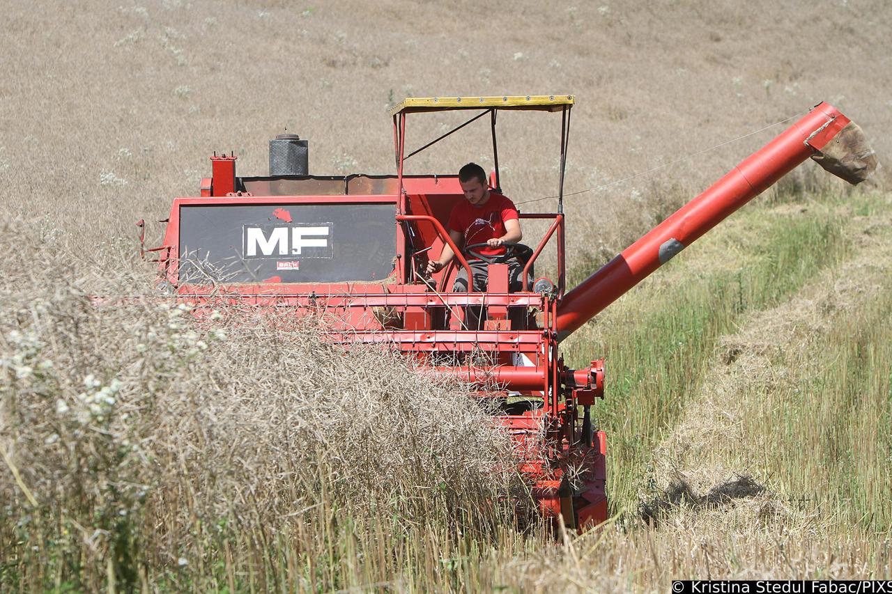 Vojni?: Jurica Jušinski prijavio lovce koji su se vozili po njegovom polju pšenice i uništili usjev