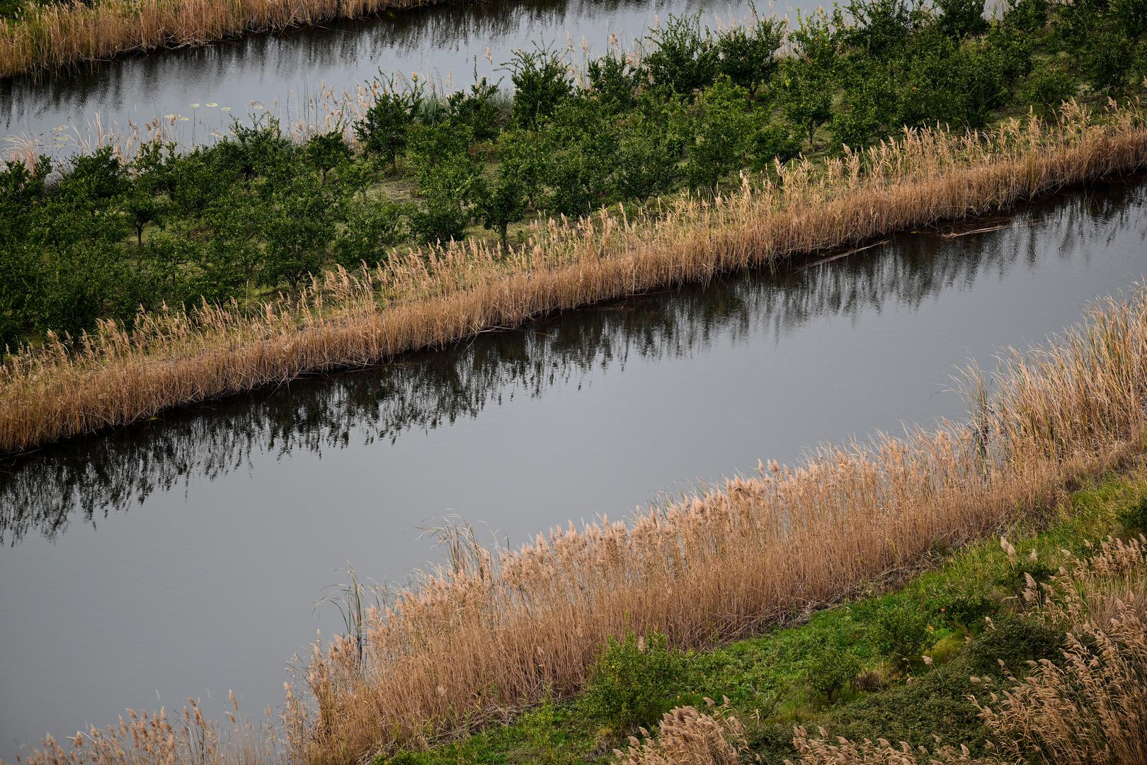 Povijest Neretve seže daleko u prošlost. Antički nazivi za ovu rijeku bili su Nera i Narenta, a naziv "Neretva" potječe iz vremena kada su uzvodno od današnjeg Metkovića Grci osnovali koloniju Narentu. 
