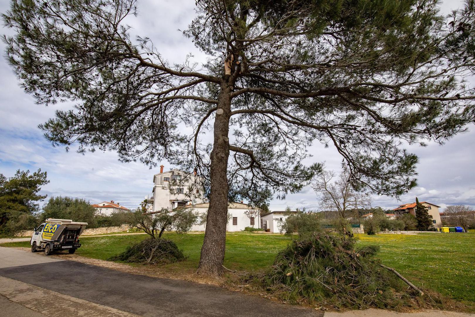 27.03.2023., Rovinj - Steta na ulicama grada koje je poharalo snazno nevrijeme. Photo: Srecko Niketic/PIXSELL