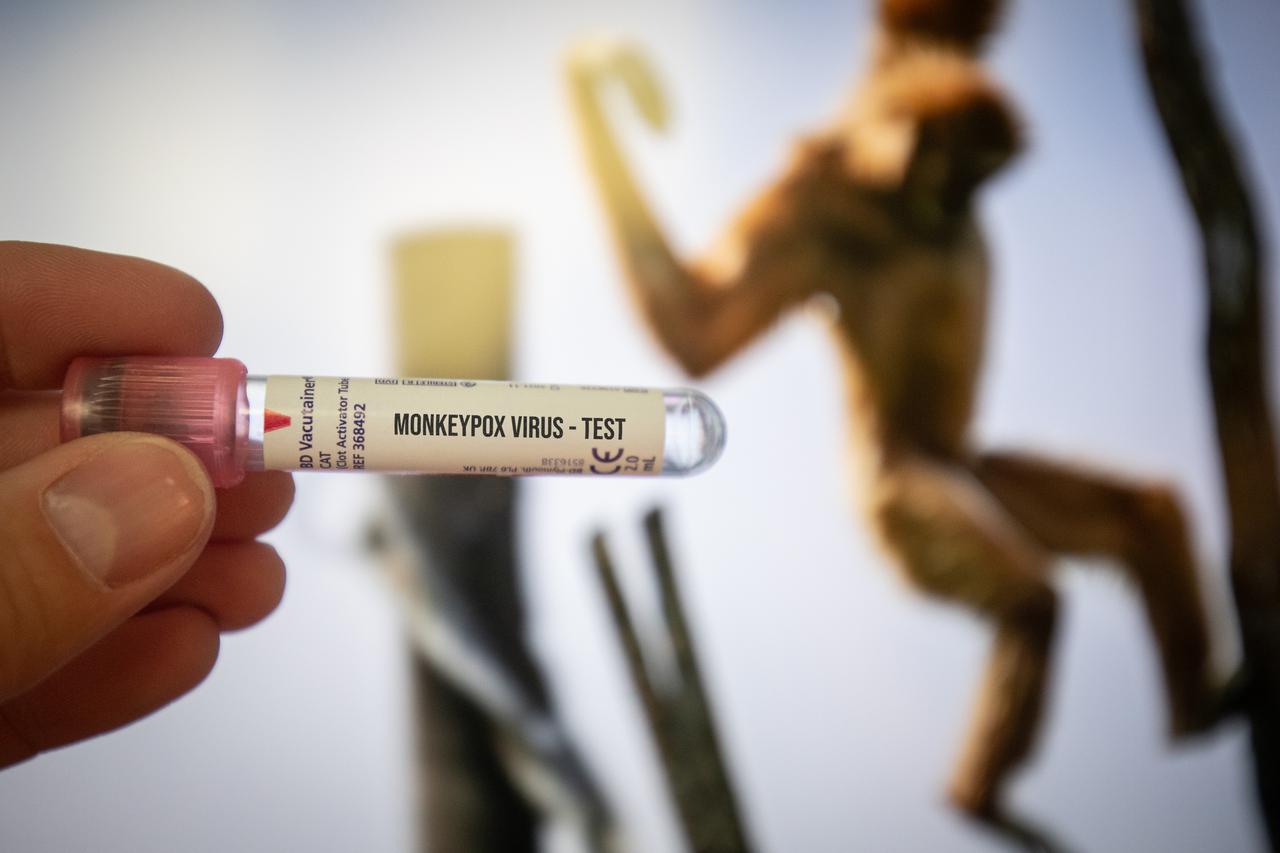 Ilustracija za majmunske boginje