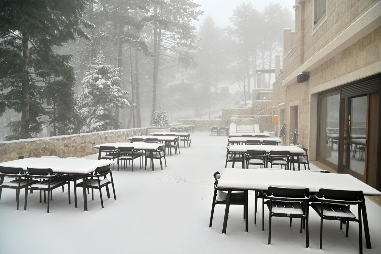 KATAR 2022 - Kolinda Grabar Kitarović na utakmici između Hrvatske i Belgije